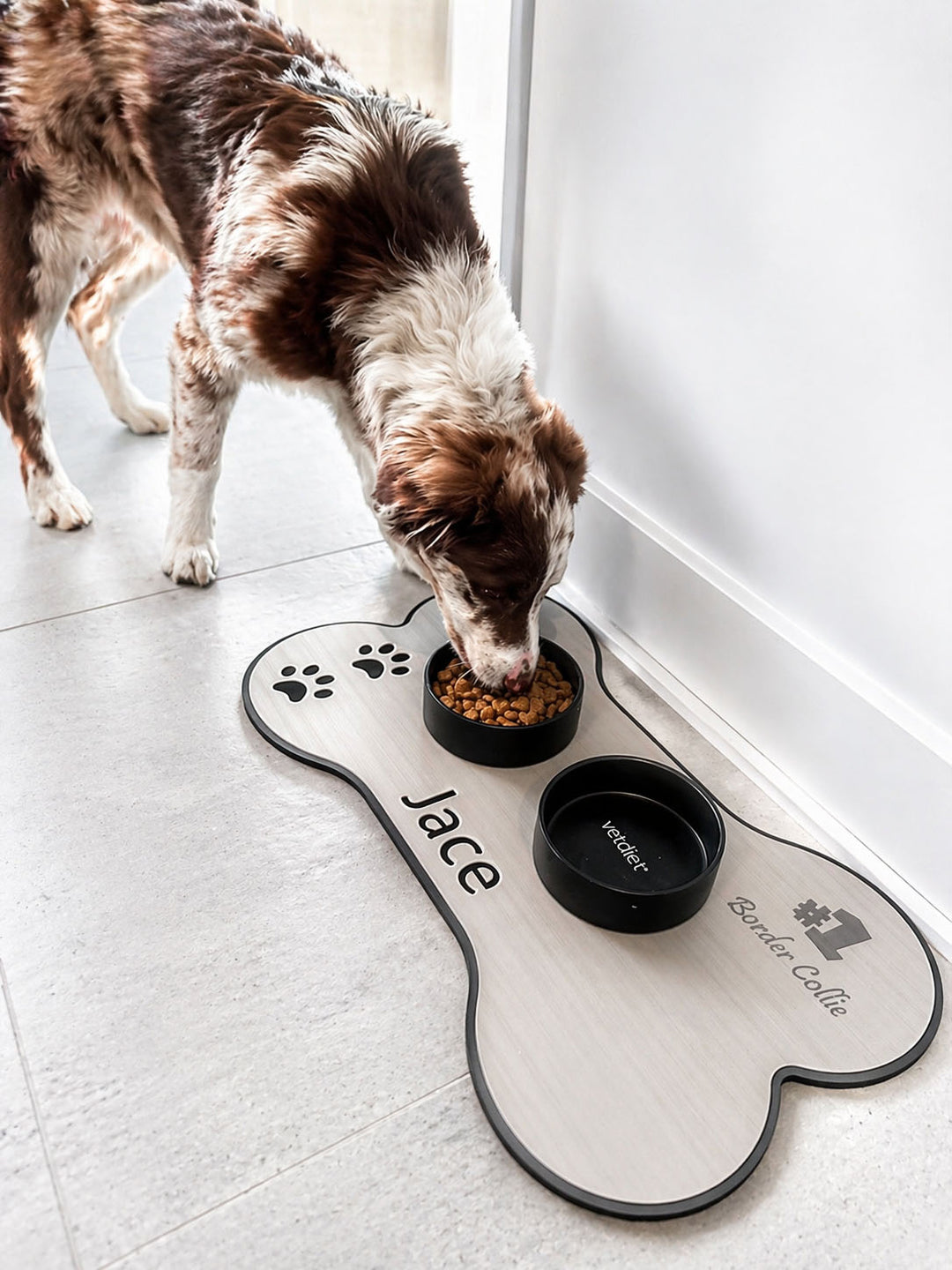 Dog pad